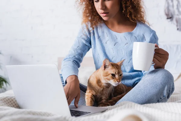 Foco seletivo da mulher encaracolado com copo usando laptop perto tabby gato no quarto — Fotografia de Stock