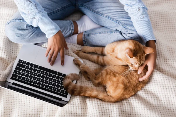 Vue du dessus de la femme en utilisant un ordinateur portable près chat tabby sur le lit — Photo de stock