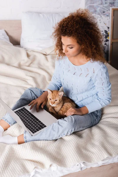 Кудрявая женщина в свитере с помощью ноутбука рядом рыжая кошка на кровати — стоковое фото