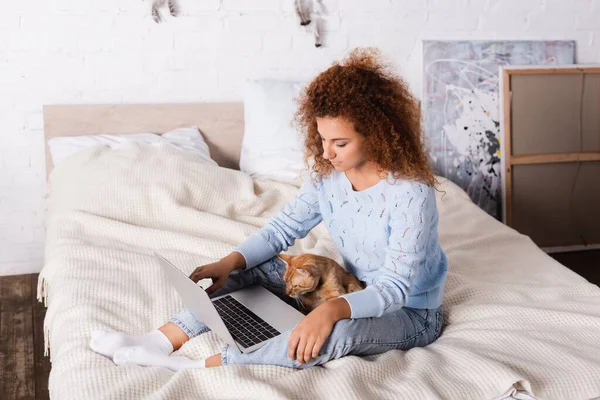 Молодая рыжая женщина смотрит на ноутбук рядом с котом в спальне — стоковое фото