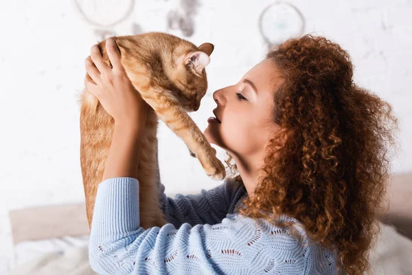Vista lateral de mujer pelirroja sosteniendo gato en casa - foto de stock