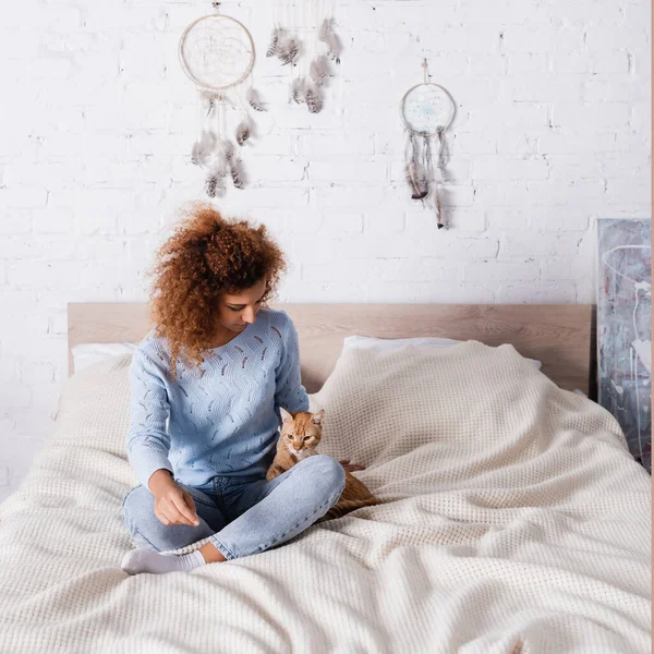 Junge Frau im Pullover schaut gestromte Katze im Schlafzimmer an — Stockfoto