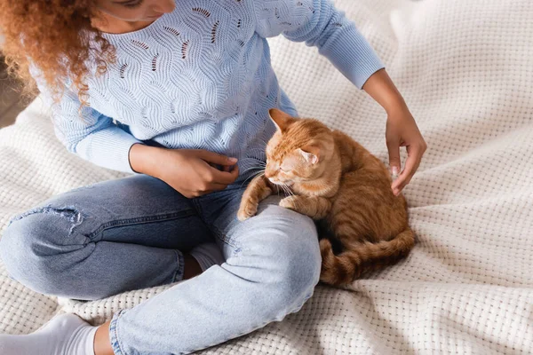 Vista recortada de la joven sentada cerca de gato tabby en la cama — Stock Photo