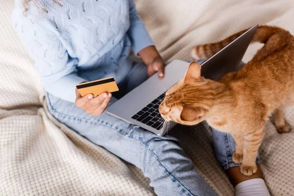 Vista recortada de la mujer que sostiene la tarjeta de crédito y el uso de ordenador portátil cerca del gato en la cama - foto de stock