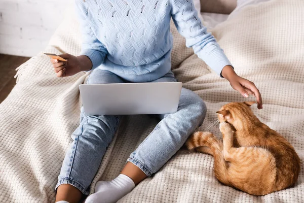 Cropped view of woman holding credit card and laptop while pulling hand to cat in bedroom — Stock Photo