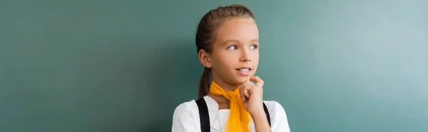 Panoramic shot of schoolgirl looking away near green chalkboard — Stock Photo