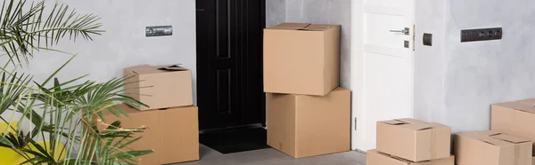 Panoramic crop of carton boxes near plant in new home, moving concept — Stock Photo