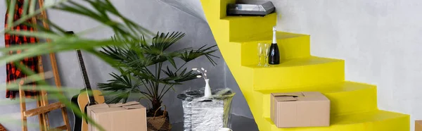 Concepto panorámico de cajas de cartón y botella de champán en escaleras amarillas cerca de plantas y guitarra acústica en apartamento moderno - foto de stock
