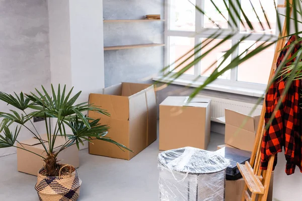 Foco seletivo de caixas de papelão no chão perto de plantas e cavalete, conceito em movimento — Fotografia de Stock