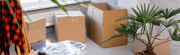 Панорамный урожай коробок на полу рядом с растениями и мольбертом, движущаяся концепция — стоковое фото