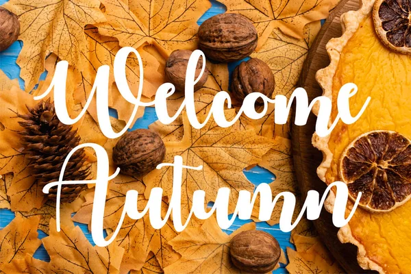 Top view of pumpkin pie on foliage with walnuts and cone near welcome autumn lettering — Stock Photo