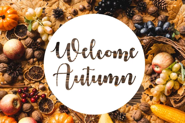 Vista superior do quadro feito de colheita e folhagem perto de letras de outono bem-vindas no fundo de madeira — Fotografia de Stock
