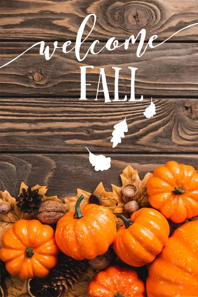 Vista dall'alto della decorazione autunnale e zucche vicino benvenuto caduta lettering su sfondo di legno — Foto stock