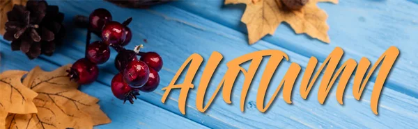 Panoramic concept of autumnal leaves, berries, acorns and cones near autumn lettering on blue wooden background — Stock Photo