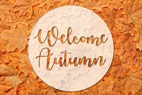 Vista superior de folhas outonais douradas perto de lettering de outono bem-vindo — Fotografia de Stock