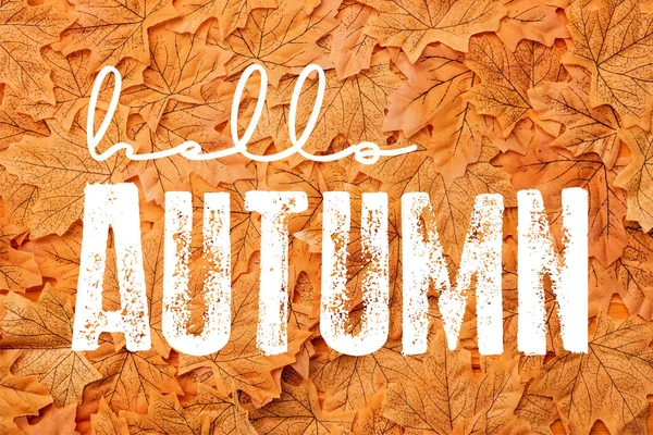 Top view of golden leaves near hello autumn lettering — Stock Photo
