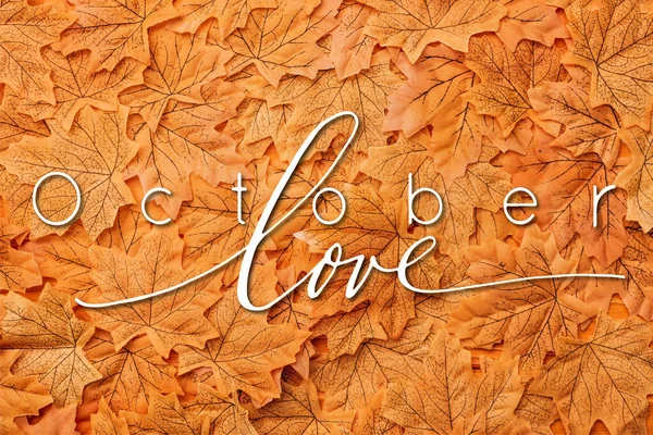 Vista dall'alto di foglie autunnali dorate vicino a ottobre amore lettering — Foto stock