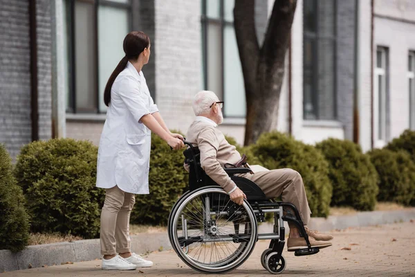 Social worker walking with aged disabled man on wheelchair outdoors — Stock Photo