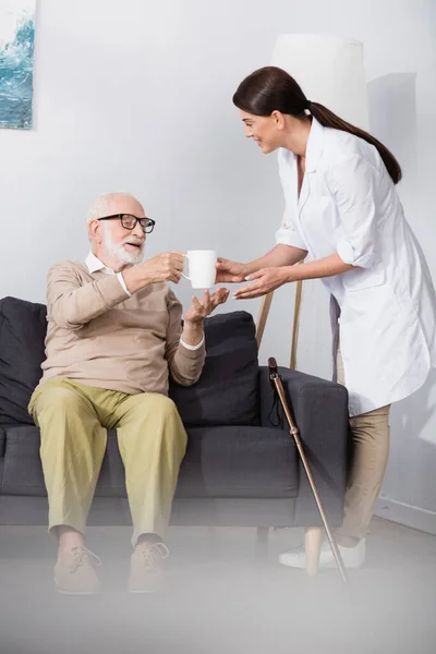 Соціальний працівник дає чашку чаю літньому чоловікові, який сидить на дивані вдома — стокове фото