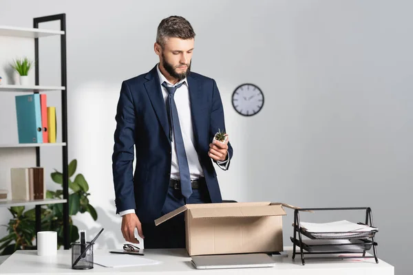 Уволенный бизнесмен держит завод рядом с ноутбуком, канцелярскими принадлежностями и коробкой на столе в офисе — стоковое фото