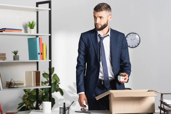 Уволенный бизнесмен держит завод рядом с коробкой и канцелярскими принадлежностями на офисном столе — стоковое фото