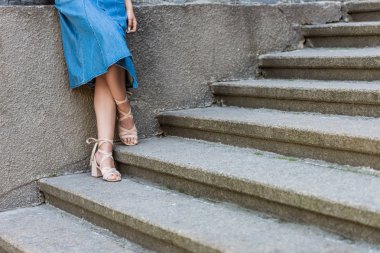 cropped shot of woman in denim skirt and stylish shoes standing on steps clipart