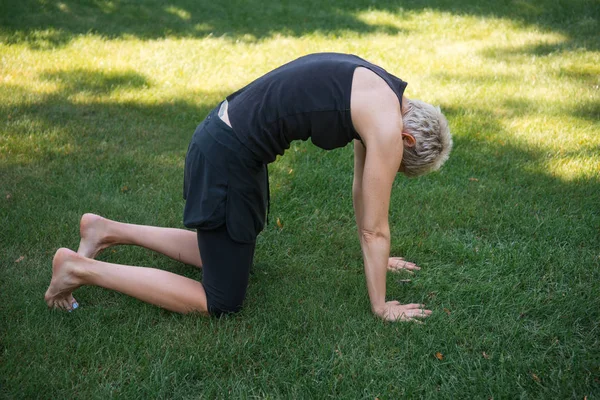 Samping Melihat Wanita Berlatih Yoga Dan Melakukan Kucing Berpose Rumput — Stok Foto