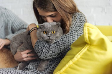 cropped shot of young woman carrying and kissing scottish fold cat while sitting on couch clipart