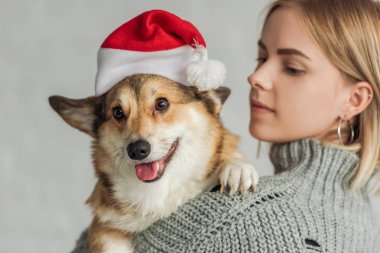 yakın çekim çok güzel corgi köpek santa şapka genç kadın portresi