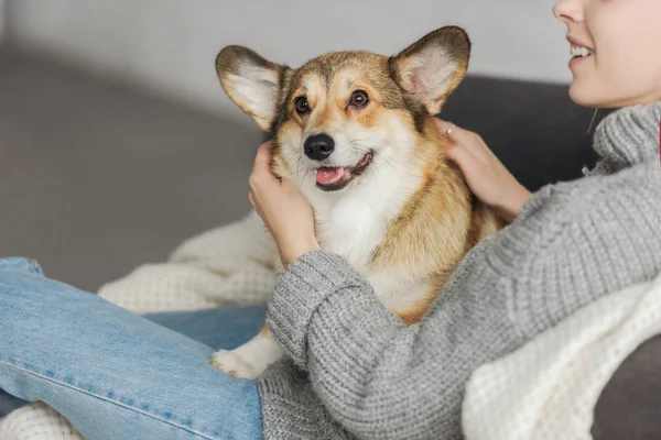 裁剪拍摄微笑的年轻女子放松在沙发上与她的科尔吉狗 — 图库照片