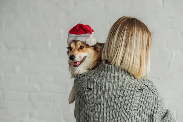 Vista Trasera Mujer Que Lleva Adorable Perro Corgi Sombrero Santa Imagen De Stock