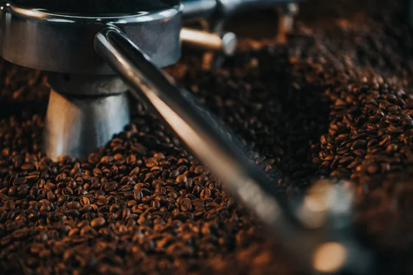 Torréfacteur professionnel avec grains de café frais torréfiés — Photo de stock