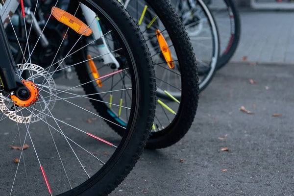 Вид крупним планом на велосипедні колеса з шинами на вулиці — стокове фото