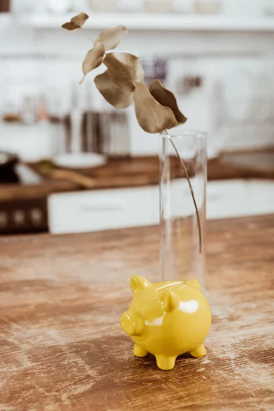 Foco seletivo de sucursal em vaso e banco porquinho na mesa de madeira — Fotografia de Stock