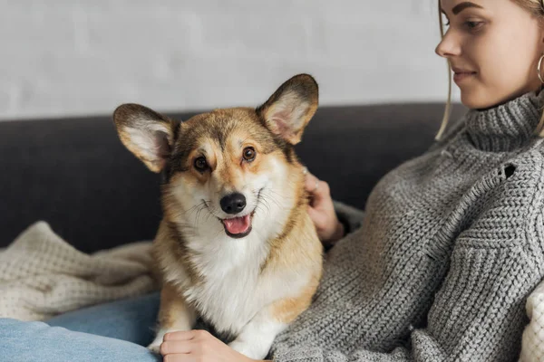 Улыбающаяся молодая женщина отдыхает на диване со своей корги-собакой — стоковое фото
