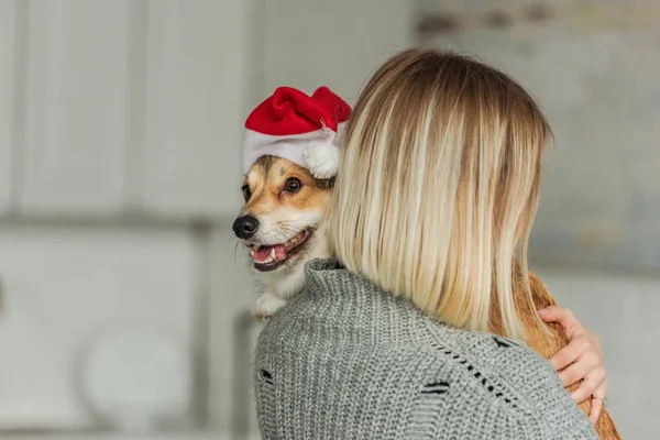 Nahaufnahme einer jungen Frau, die zu Hause einen niedlichen Corgi-Hund mit Weihnachtsmütze trägt — Stockfoto