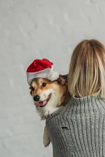 Rear view of woman carrying cute corgi dog in santa hat — Stock Photo