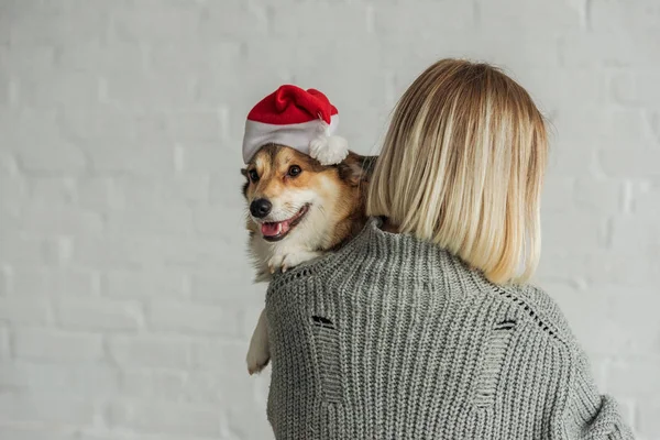 Vista trasera de la mujer que lleva adorable perro corgi en sombrero de santa - foto de stock