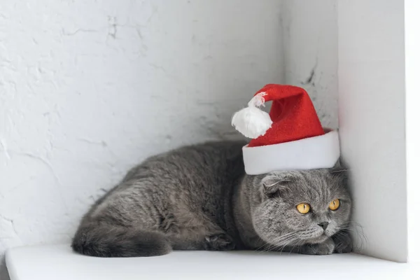 Gros plan du chat écossais plié dans un chapeau de Père Noël couché sur le rebord de la fenêtre — Photo de stock