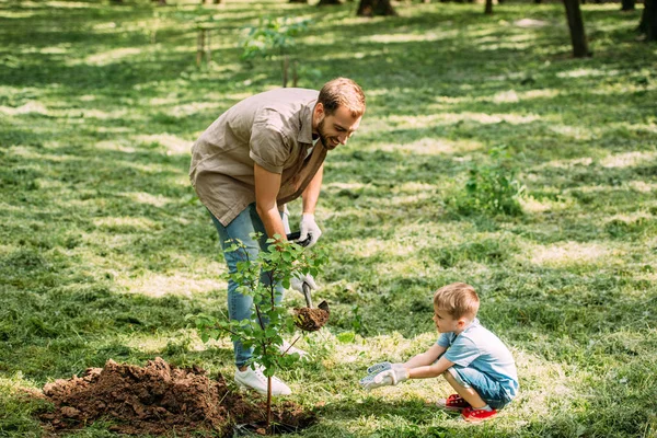 Padre Mirando Hijo Plantando Árbol Con Pala Parque — Foto de Stock