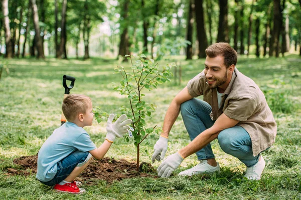 Happy Father Son Planting Tree Park — Stock Photo, Image