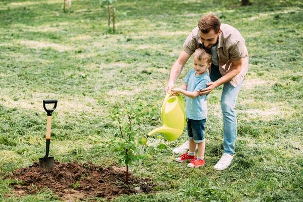 Father Son Watering Seedling Watering Can Together Park — Stock Photo, Image