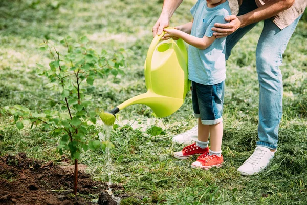 Cropped Image Father Son Watering Seedling Watering Can Park — Stock Photo, Image