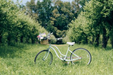 selective focus of retro bicycle with wicker basket full of flowers at countryside clipart