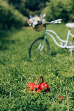 selective focus of wicker basket with ripe apples and retro bicycle parked behind at countryside clipart