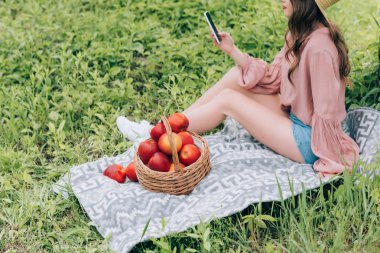hasır sepet elma Park tam battaniyeyle üzerinde dinlenme smartphone ile atış kadının kırpılmış