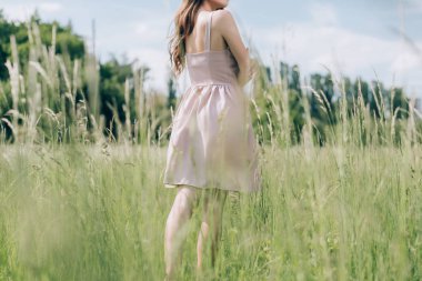 şık elbiseli kadınla uzun saç ayakta çayırda yalnız kısmi görünümünü