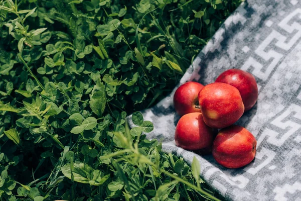 Top View Ripe Apples Blanket Green Grass — Free Stock Photo