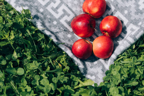 top view of ripe apples on blanket on green grass