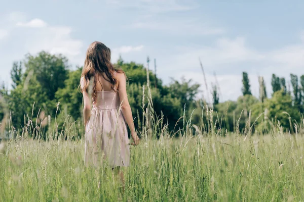 背景の青空と草原でスタイリッシュなドレスで女性の背面します — ストック写真